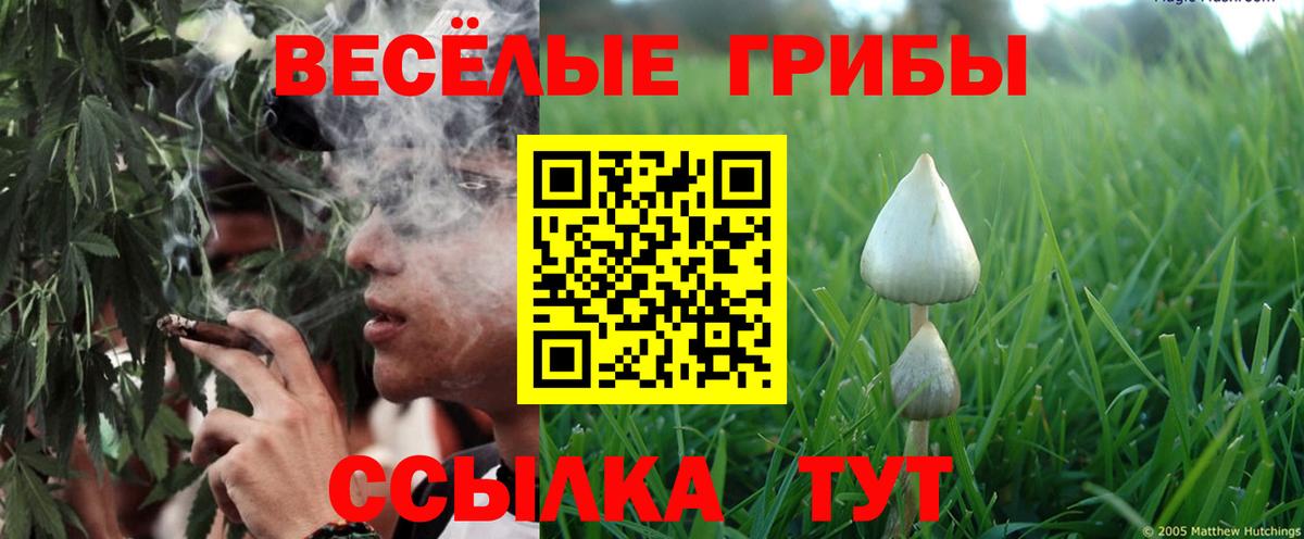 Аша  Галлюциногенные грибы прущие грибы  наркота  Вход с VPN 